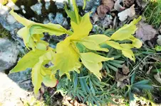 DSCF5474 (2).webp