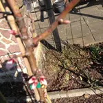 IMG_5503.webp