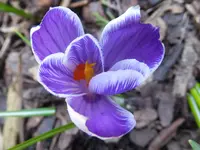 DSCF9218.webp