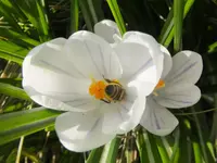 DSCF9199.webp