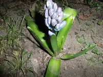 SAM_0809.webp