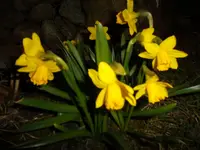 SAM_0813.webp