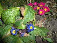 SAM_0814.webp