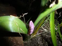 SAM_0815.webp