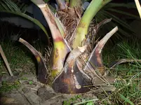 SAM_0816.webp