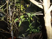 SAM_0817.webp