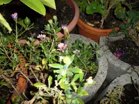 SAM_0819.webp