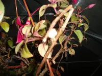 SAM_0820.webp