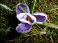 SAM_0821.webp