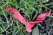 DSC_2502.webp