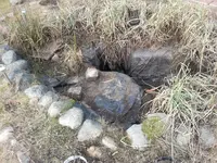 Teich-1.webp