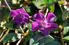 DSC_6442.webp