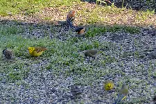 DSC_2304.webp