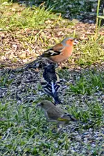 DSC_2306.webp