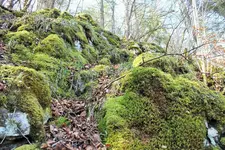 DSCF5438 (2).webp