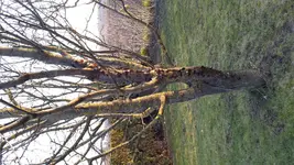 20160317_171836.jpg