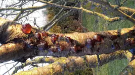 20160317_171826.jpg