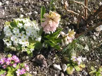 011.webp