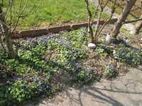 031.webp