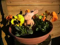 006.webp