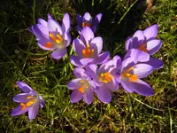 002.webp