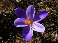 014.webp