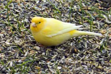 19-03-2016_0001.webp