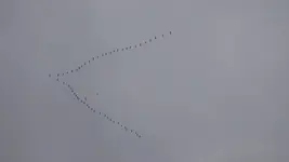 DSC_0030.jpg