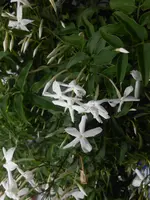 DSCN2035.webp