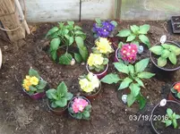BILD5191.webp