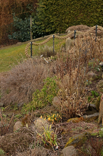 Hangbeet_untere Terrasse noch im Winter_layout_800.webp