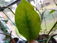 P1030300.webp