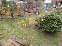 SAM_0825.webp
