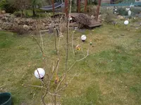 SAM_0826.webp