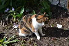 DSC_2791.webp