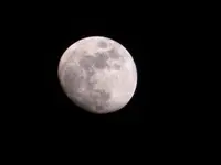 DSCN5093.webp