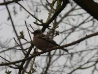 P1050200.webp