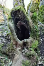 DSCF5471 (2).webp