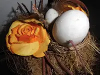 Bilda011.webp