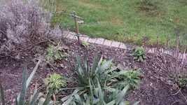 20160323_160614.webp