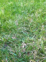 IMG_3060.webp