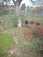 DSCN0057.jpg