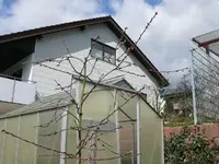 k-P1090891.JPG