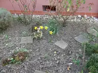 Vorgarten 22-03-16.webp