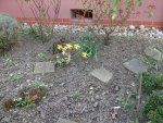 Vorgarten 22-03-16.jpg