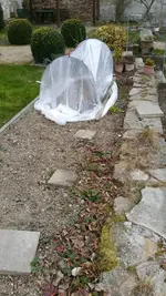 2016-03-24 16.21.57.webp