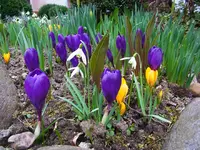 042.webp
