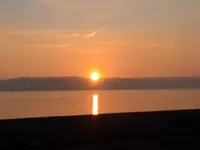 001.webp