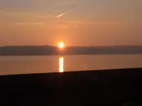 003.webp
