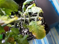 20160325_084646.webp
